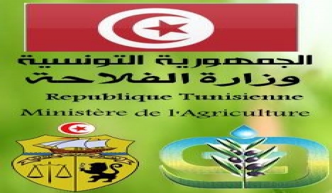 تعيين بوبكر الكرّاي رئيس ديوان وزير الفلاحة